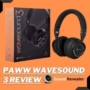 Paww Wavesound 3 Review by Sound Revealer